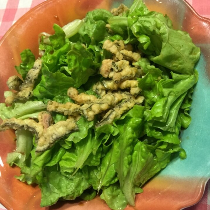 簡単すぎ グリーンリーフレタスサラダ レシピ 作り方 By かおチュワン 楽天レシピ